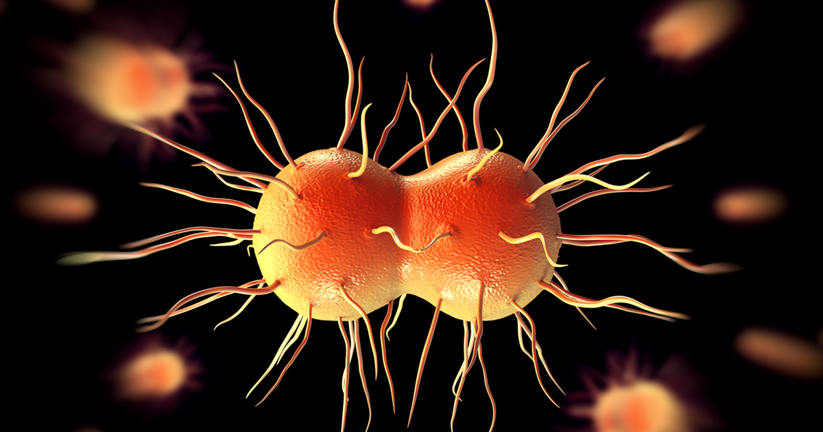 Gonorrhoea Symptoms And Treatment 