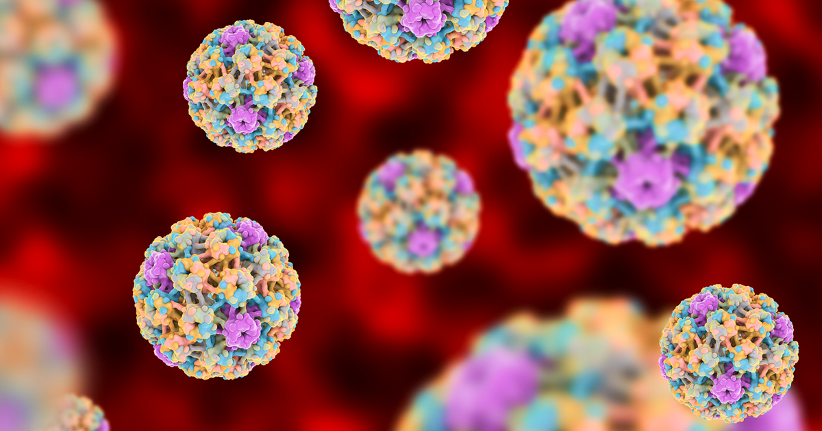 HPV and genital warts symptoms and treatment | Be in the KNOW